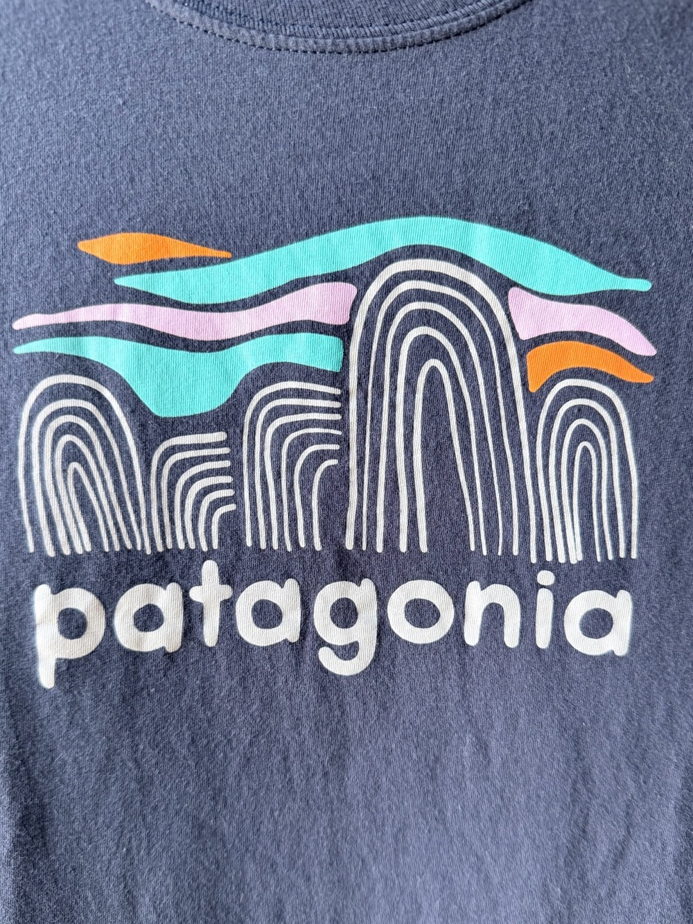 Patagonia Girls Long Sleeve Graphic Organic Cotton Tee Blue Kids Size 10